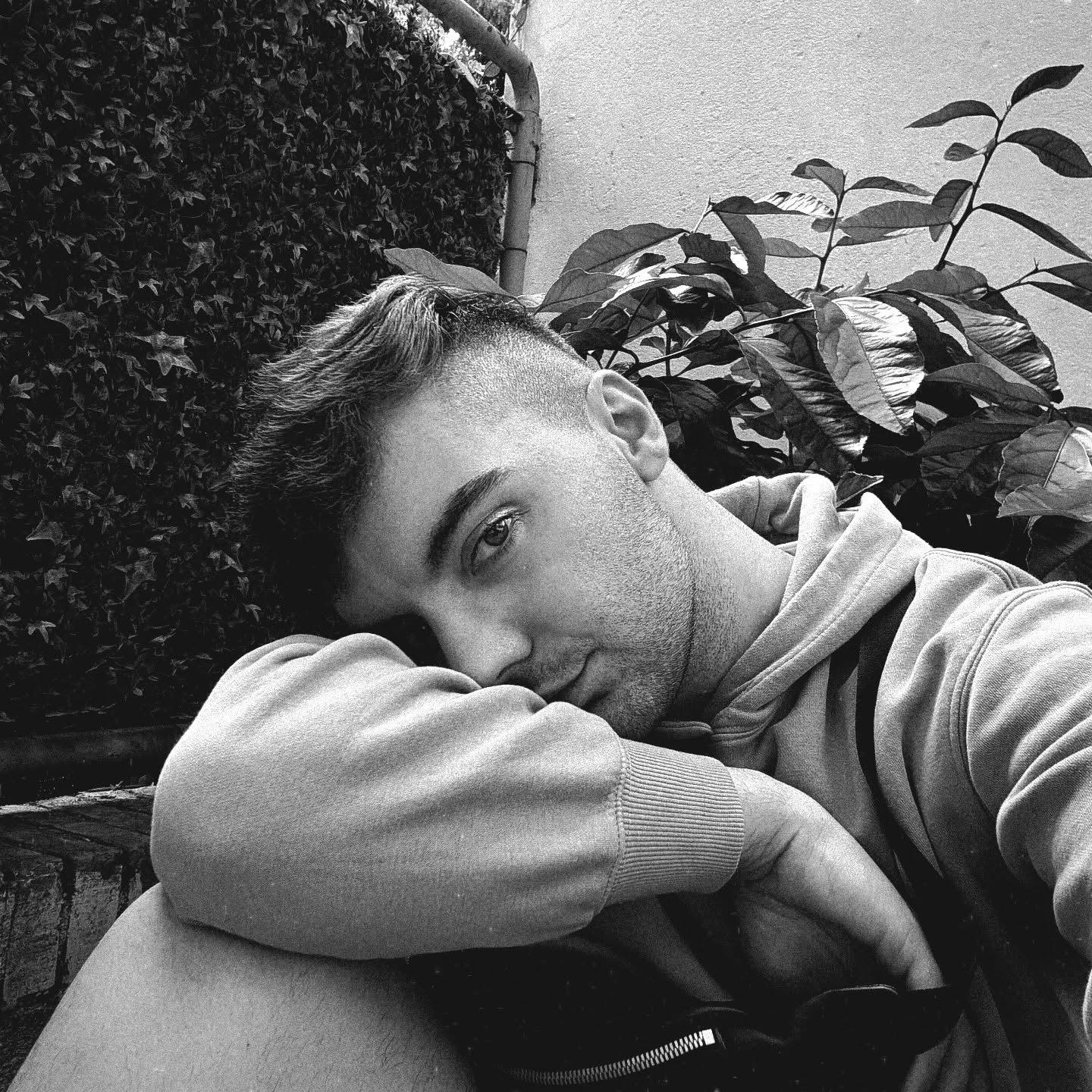 Michele Persici